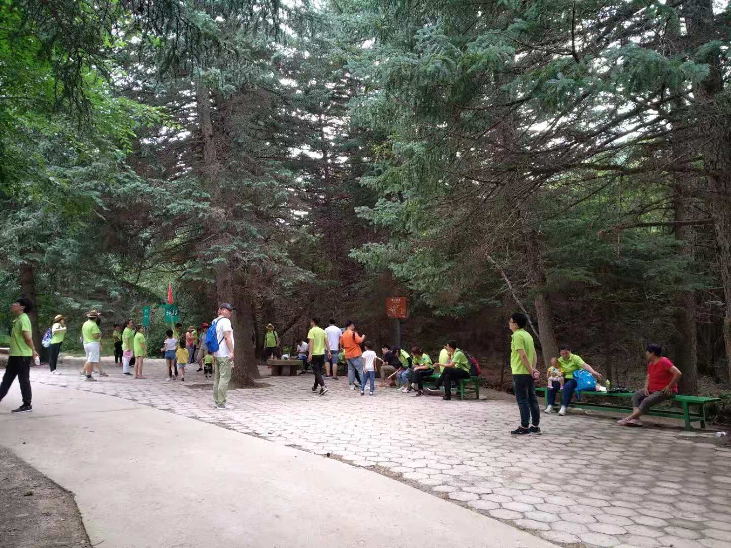 1564637765697940.jpg 微信图片_20190731155900.jpg